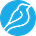 Bluebird International's avatar