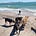 Lola the Dog Lady's avatar