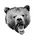 THE SHORT BEAR's avatar