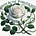 White Rose Publications's avatar