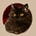 Tim Harrison's avatar