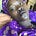 mukhtara ayọ̀tẹ́jú adékúnbi's avatar