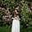 The Moonflower Chronicles's avatar