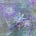 Soh Heriot's avatar