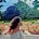 Ioanna's avatar