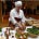 Sarah Pickering's avatar