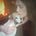 laura thompson's avatar