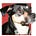 Charlie Dog's avatar