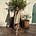 Justine Liu Fitzgerald's avatar