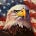 Patriot Law Group's avatar