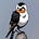 BeijingOpinion's avatar