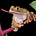 dav's avatar