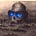 Alexander Raynor's avatar