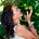 Marcella Friel's avatar
