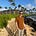 Zachary Rice's avatar