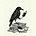 Oscar Templeton's avatar