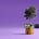 IncomeFund's avatar