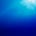 Bloop Cinema's avatar