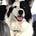 Luann Madison's avatar