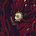 Sean K Mittelstaedt's avatar