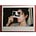 Brenna Perez's avatar