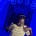 Amiolaoluwa's avatar