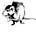 City Rat's avatar