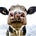Yakity McYakface's avatar