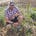 Adam Coombs's avatar