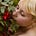 Erin Bagwell's avatar