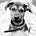 Zork (the) Hun's avatar