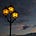 Innomen's avatar