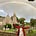 Elizabeth Shanley's avatar