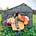 Amber Partner's avatar