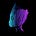 IamEsh's avatar