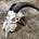 Rogue Gunn Works's avatar