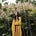 Sarah Faith Gottesdiener's avatar