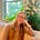 Helena 'Ellie' Huizenga's avatar