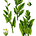 Emily Spinach's avatar