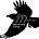 Crrow777's avatar