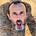 Avatar de Laurent Brouat