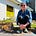 Amy Jane Williams's avatar