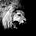 Whispers to Roars's avatar