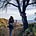 LivLifeOutdoors's avatar