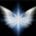 Observing Consciousness's avatar