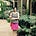 Bhavana's avatar