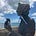 Susan McDonnell's avatar
