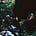 ireashia's avatar