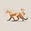 California Curated's avatar