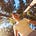 Ezra Winton's avatar